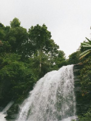 doi inthanon