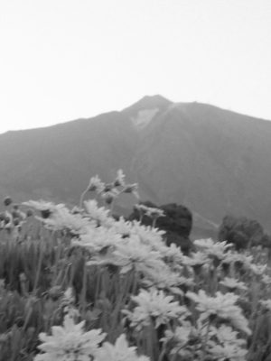 teide