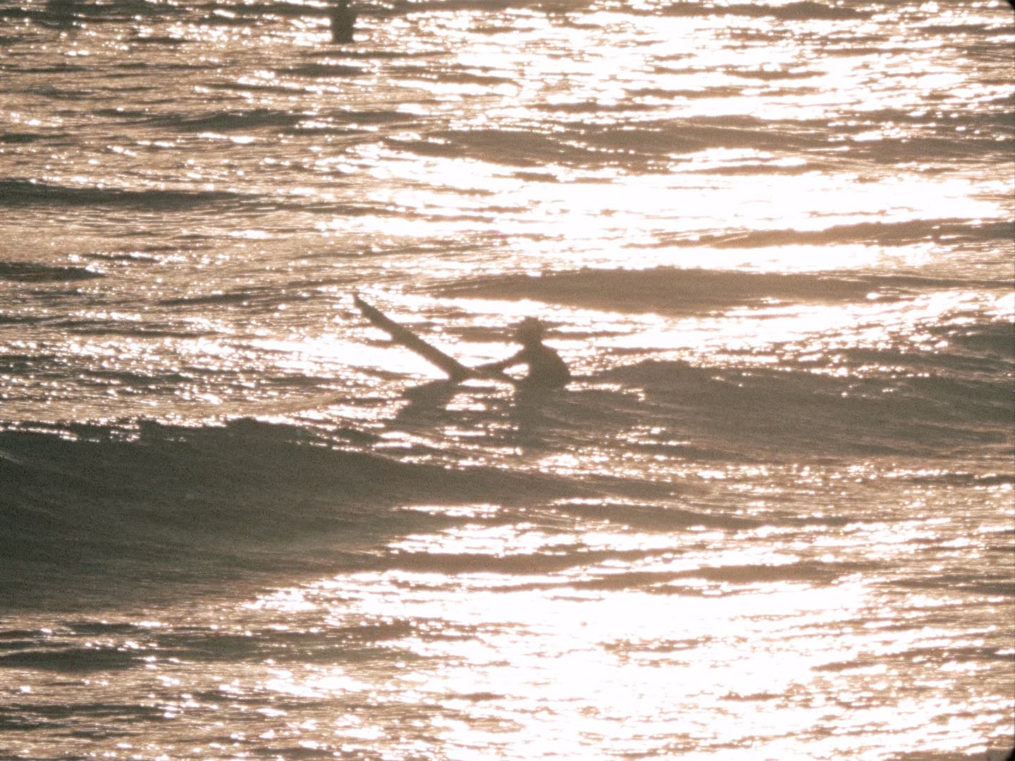 P1455344.00_12_28_08.Imagen fija079 web 4-3