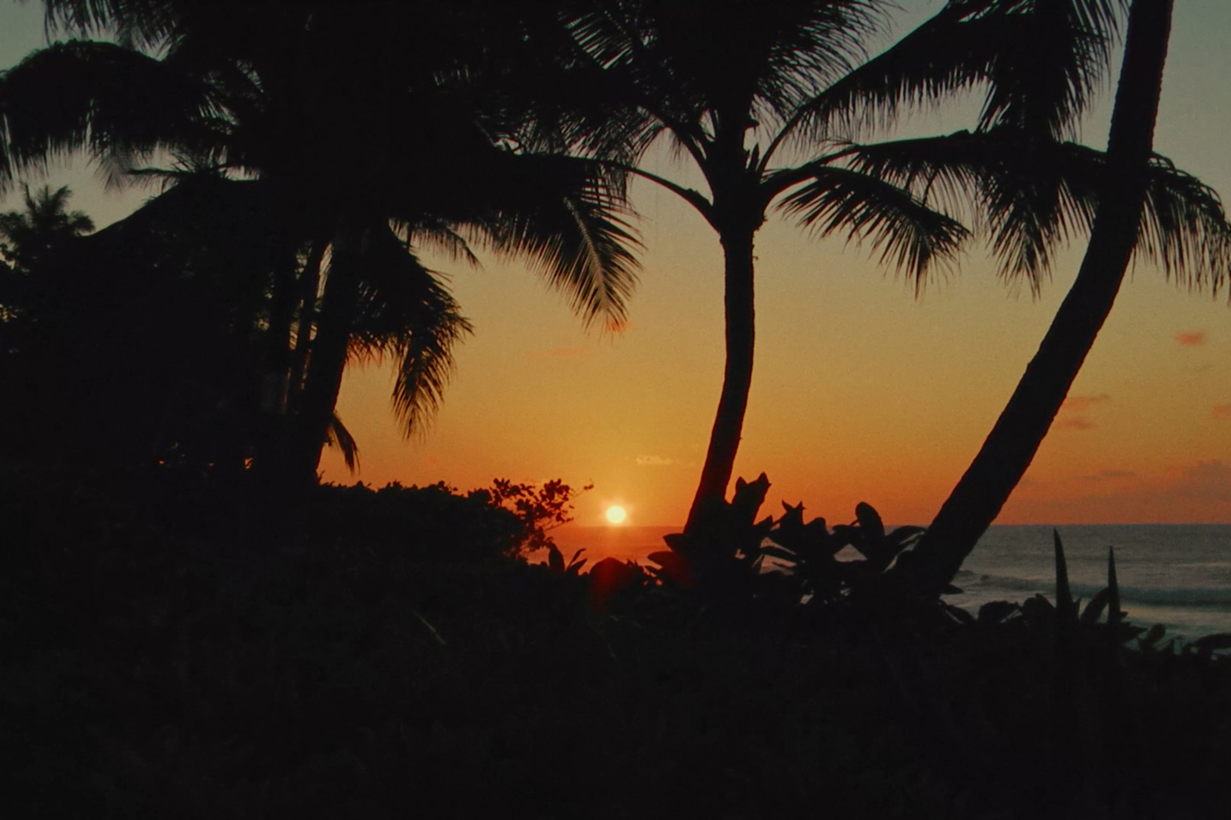 capturas hawaii davinci_1.21.66hawaii web