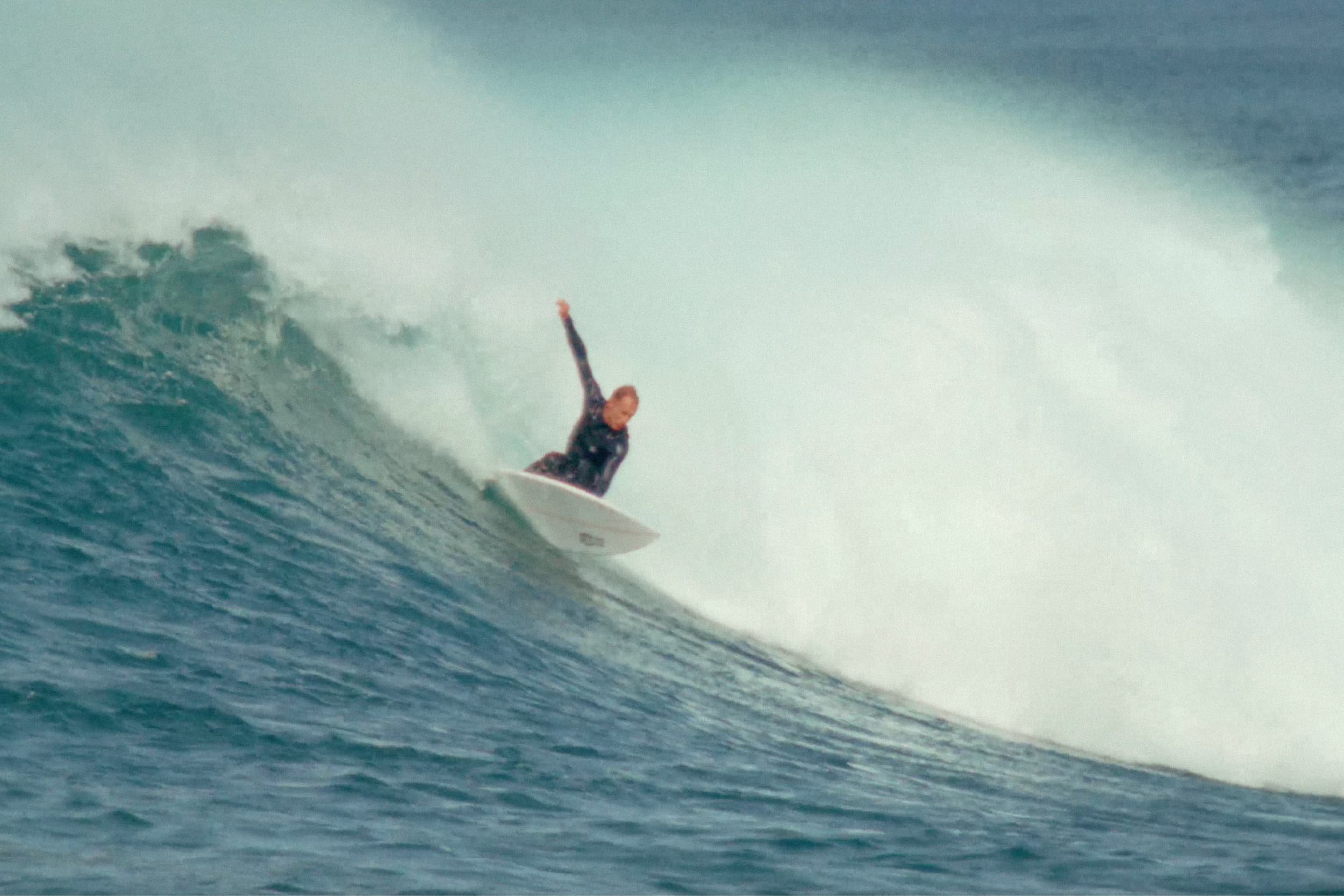 hawaii web 2 (1)