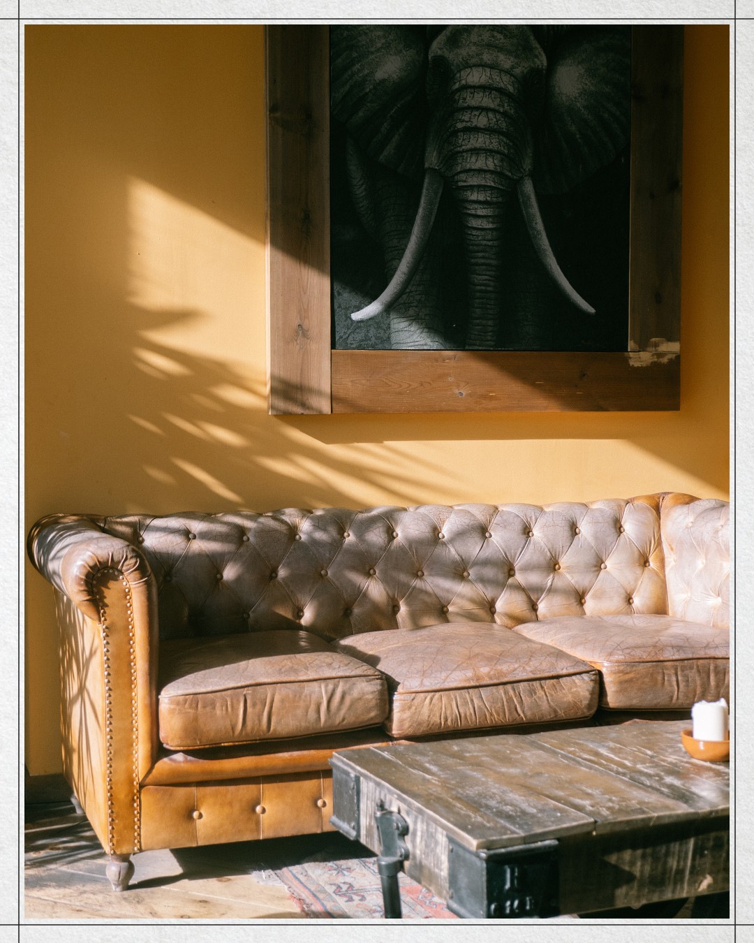 vesarte.studio_1641324846_2743954146115587387_43474134741