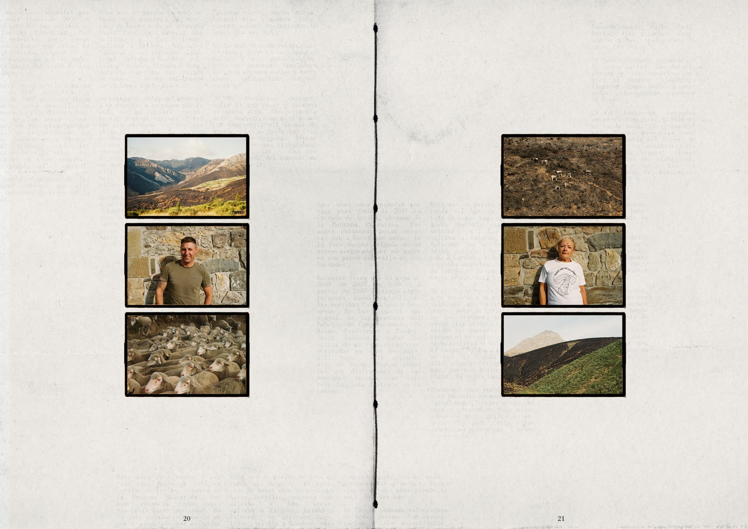 11 pag web palentina (1)