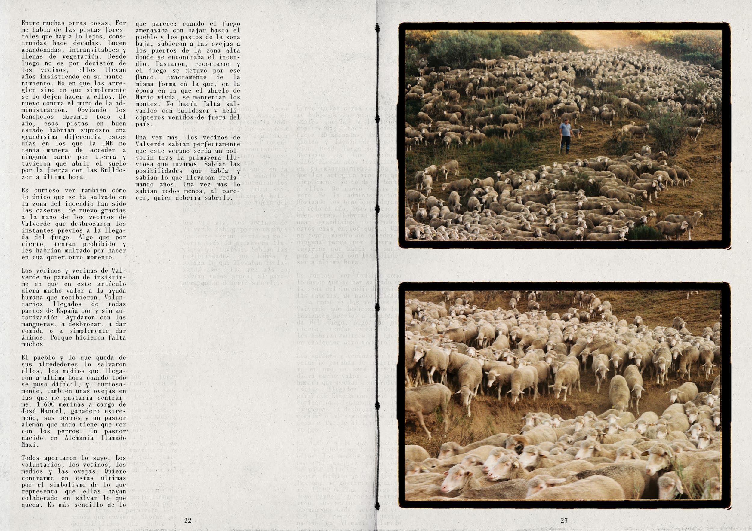 12 pag web palentina (1)