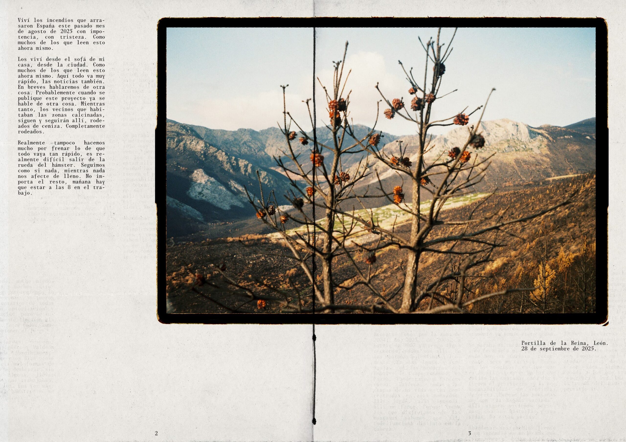 2 pag web palentina (1)