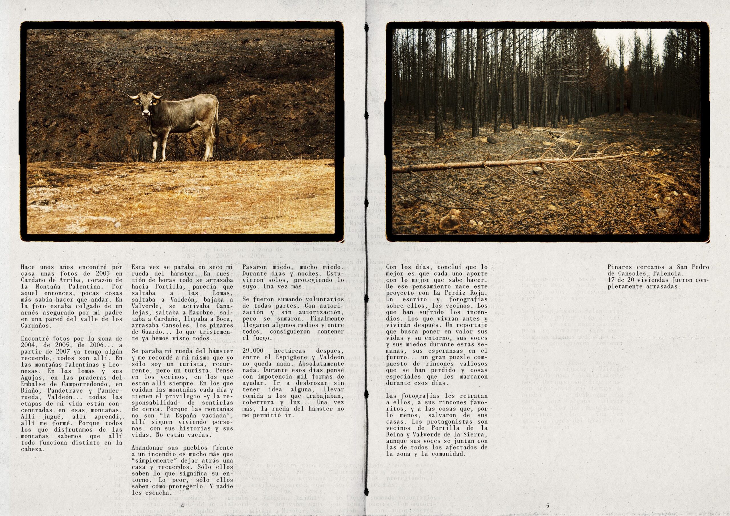 3 pag web palentina (1)