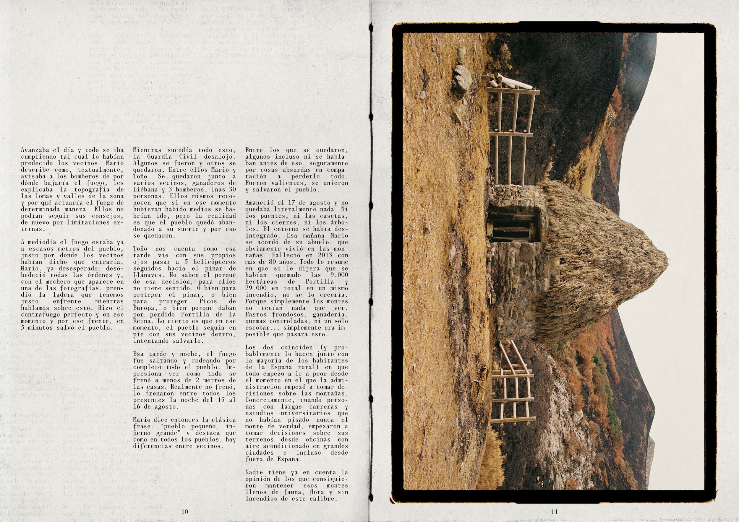 6 pag web palentina (1)